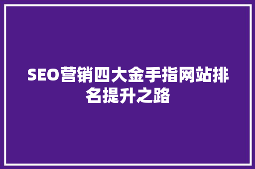 SEO营销四大金手指网站排名提升之路