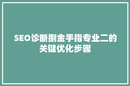 SEO诊断捌金手指专业二的关键优化步骤