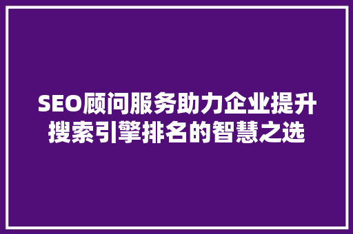 SEO顾问服务助力企业提升搜索引擎排名的智慧之选
