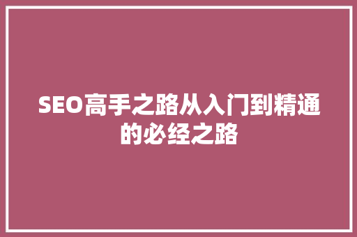 SEO高手之路从入门到精通的必经之路
