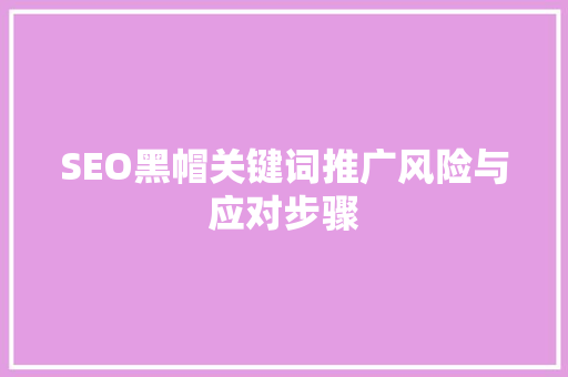 SEO黑帽关键词推广风险与应对步骤  第1张
