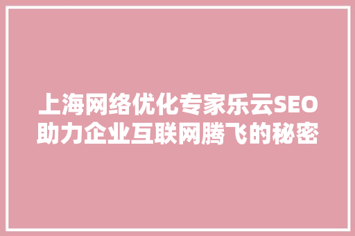 上海网络优化专家乐云SEO助力企业互联网腾飞的秘密武器