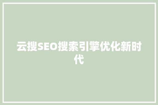 云搜SEO搜索引擎优化新时代