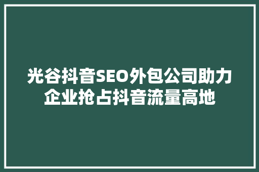 光谷抖音SEO外包公司助力企业抢占抖音流量高地