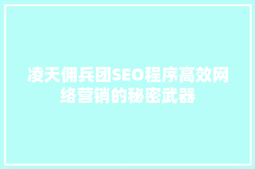 凌天佣兵团SEO程序高效网络营销的秘密武器