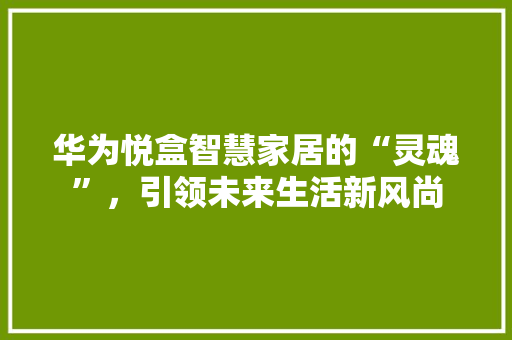 华为悦盒智慧家居的“灵魂”，引领未来生活新风尚