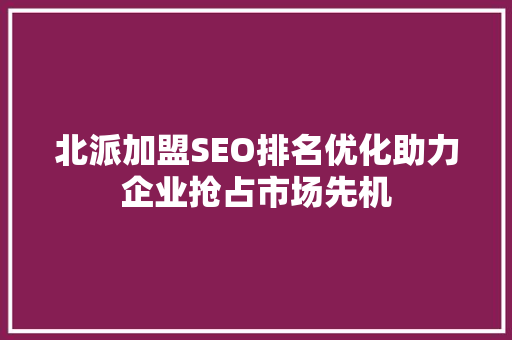 北派加盟SEO排名优化助力企业抢占市场先机