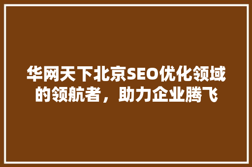 华网天下北京SEO优化领域的领航者，助力企业腾飞
