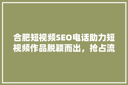 合肥短视频SEO电话助力短视频作品脱颖而出，抢占流量高地