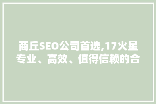 商丘SEO公司首选,17火星专业、高效、值得信赖的合作伙伴