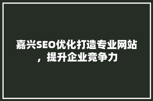 嘉兴SEO优化打造专业网站，提升企业竞争力