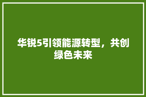 华锐5引领能源转型，共创绿色未来
