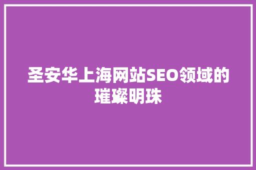 圣安华上海网站SEO领域的璀璨明珠