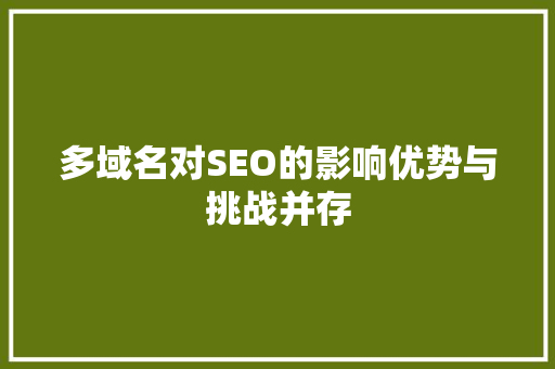 多域名对SEO的影响优势与挑战并存