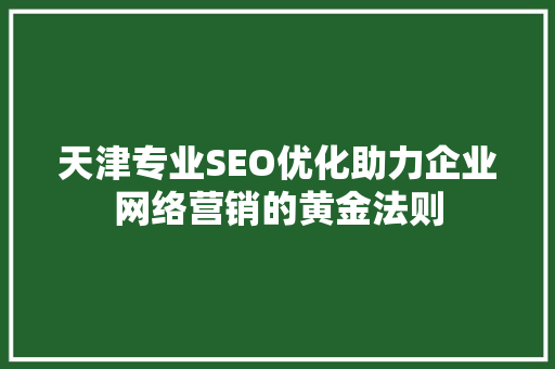 天津专业SEO优化助力企业网络营销的黄金法则