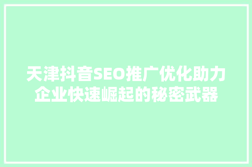 天津抖音SEO推广优化助力企业快速崛起的秘密武器