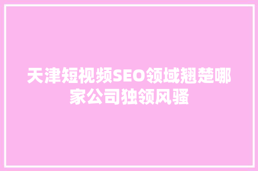 天津短视频SEO领域翘楚哪家公司独领风骚
