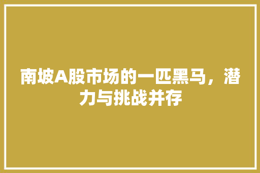 南坡A股市场的一匹黑马，潜力与挑战并存