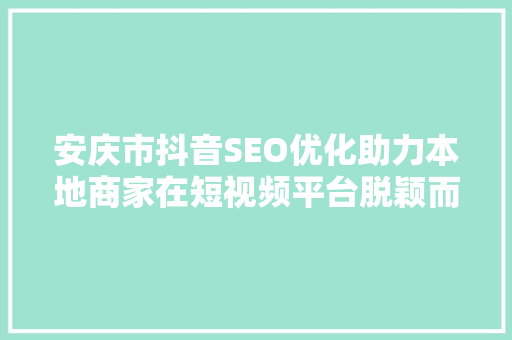 安庆市抖音SEO优化助力本地商家在短视频平台脱颖而出