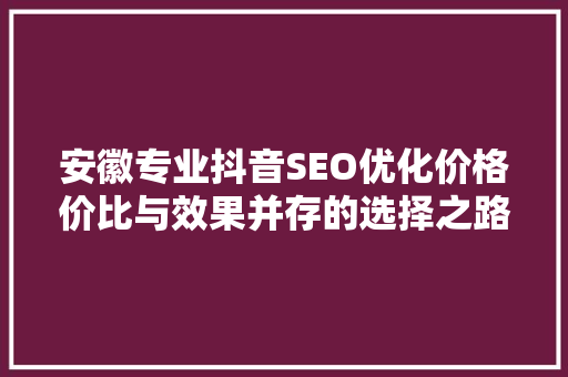 安徽专业抖音SEO优化价格价比与效果并存的选择之路