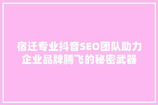 宿迁专业抖音SEO团队助力企业品牌腾飞的秘密武器