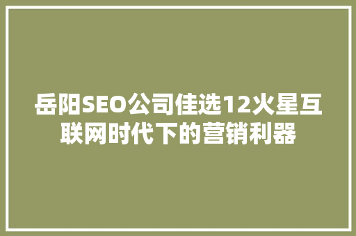 岳阳SEO公司佳选12火星互联网时代下的营销利器