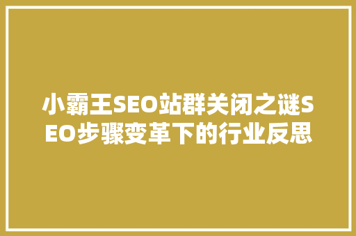 小霸王SEO站群关闭之谜SEO步骤变革下的行业反思