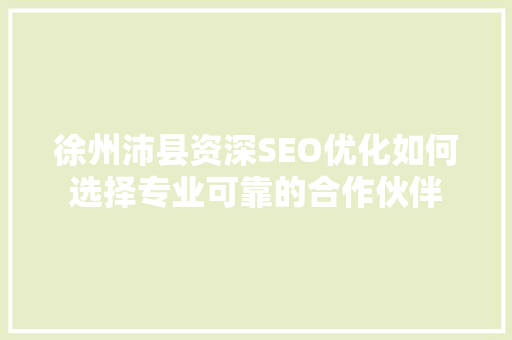 徐州沛县资深SEO优化如何选择专业可靠的合作伙伴