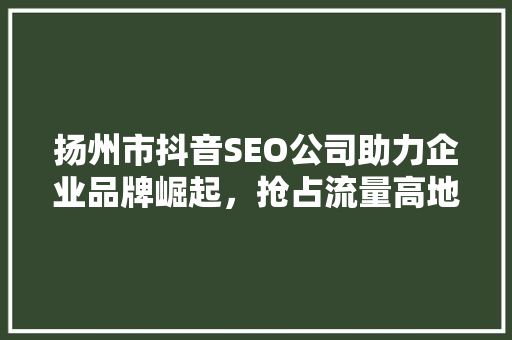 扬州市抖音SEO公司助力企业品牌崛起，抢占流量高地