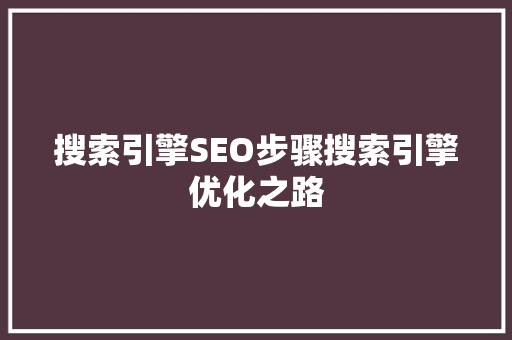 搜索引擎SEO步骤搜索引擎优化之路