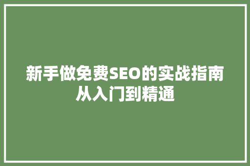 新手做免费SEO的实战指南从入门到精通