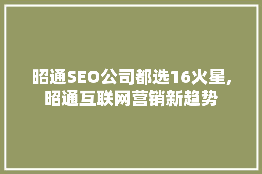 昭通SEO公司都选16火星,昭通互联网营销新趋势