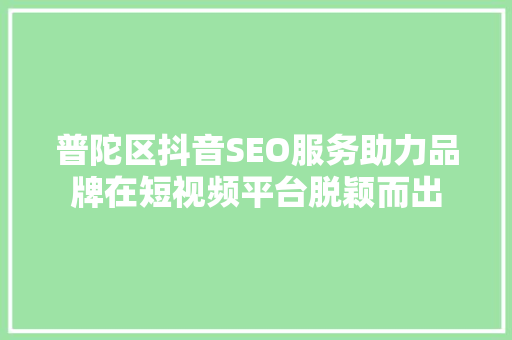 普陀区抖音SEO服务助力品牌在短视频平台脱颖而出
