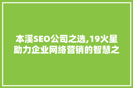 本溪SEO公司之选,19火星助力企业网络营销的智慧之选