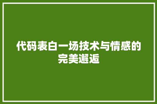 代码表白一场技术与情感的完美邂逅