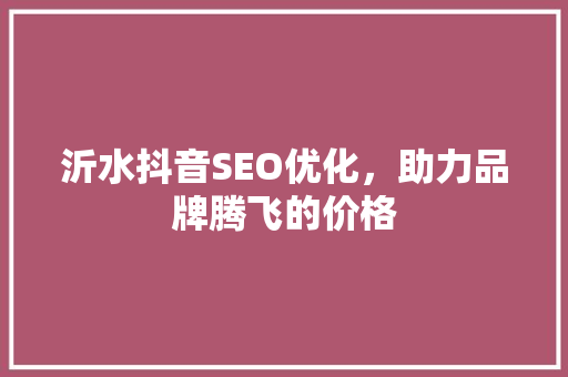 沂水抖音SEO优化，助力品牌腾飞的价格