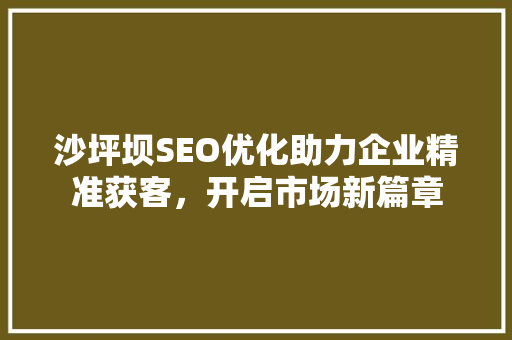 沙坪坝SEO优化助力企业精准获客，开启市场新篇章