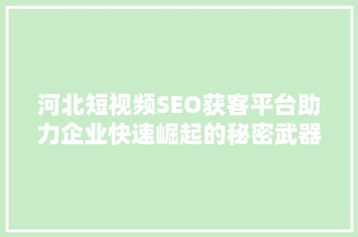河北短视频SEO获客平台助力企业快速崛起的秘密武器