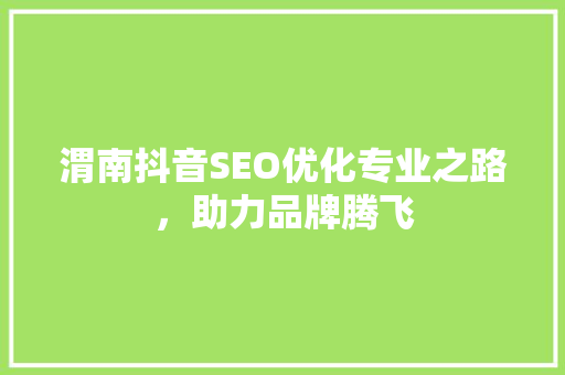 渭南抖音SEO优化专业之路，助力品牌腾飞
