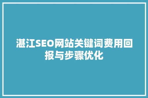 湛江SEO网站关键词费用回报与步骤优化