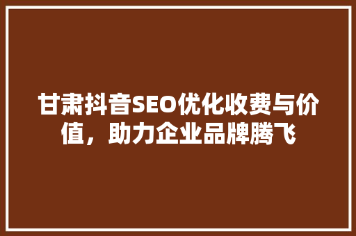 甘肃抖音SEO优化收费与价值，助力企业品牌腾飞