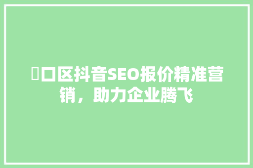 硚口区抖音SEO报价精准营销，助力企业腾飞