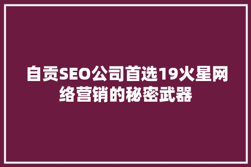 自贡SEO公司首选19火星网络营销的秘密武器
