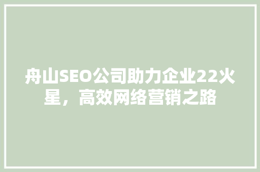 舟山SEO公司助力企业22火星，高效网络营销之路