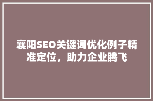 襄阳SEO关键词优化例子精准定位，助力企业腾飞