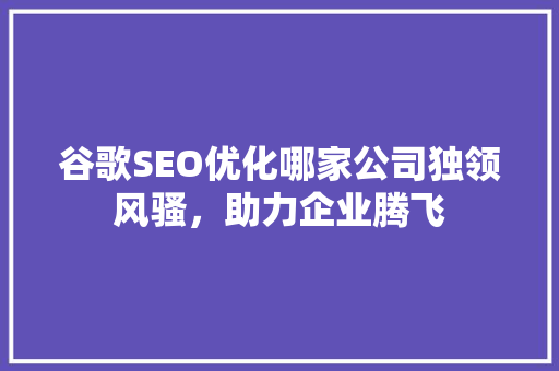 谷歌SEO优化哪家公司独领风骚，助力企业腾飞
