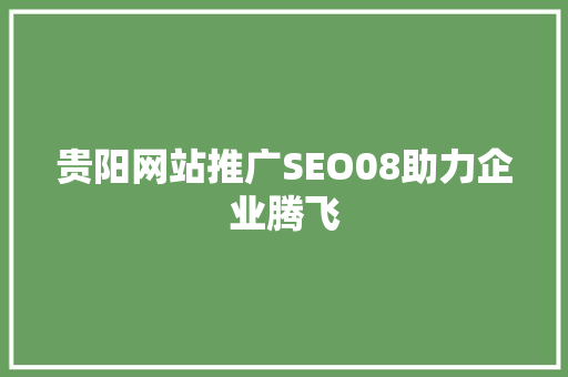 贵阳网站推广SEO08助力企业腾飞
