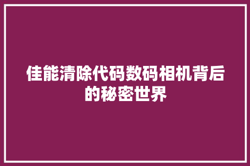 佳能清除代码数码相机背后的秘密世界