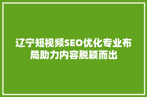 辽宁短视频SEO优化专业布局助力内容脱颖而出
