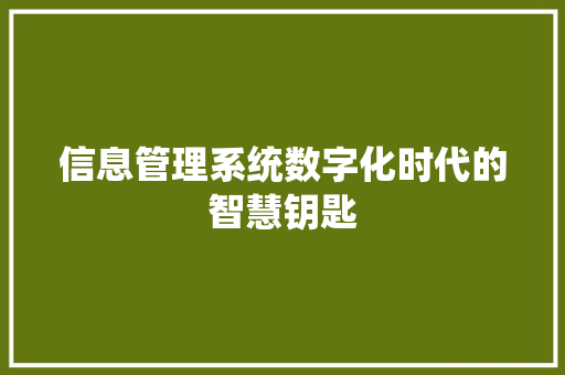 信息管理系统数字化时代的智慧钥匙
